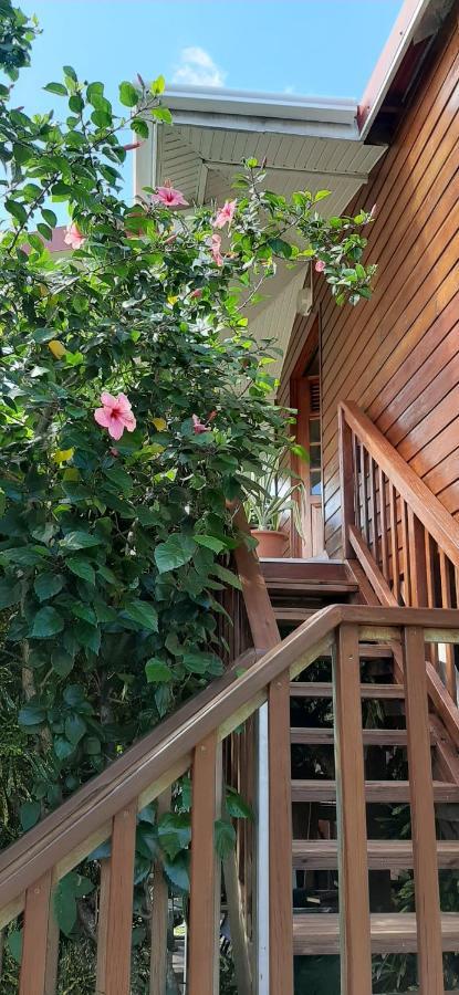 Bungalow Mangifera Proche De La Plage เลอ ดีอามงต์ ภายนอก รูปภาพ