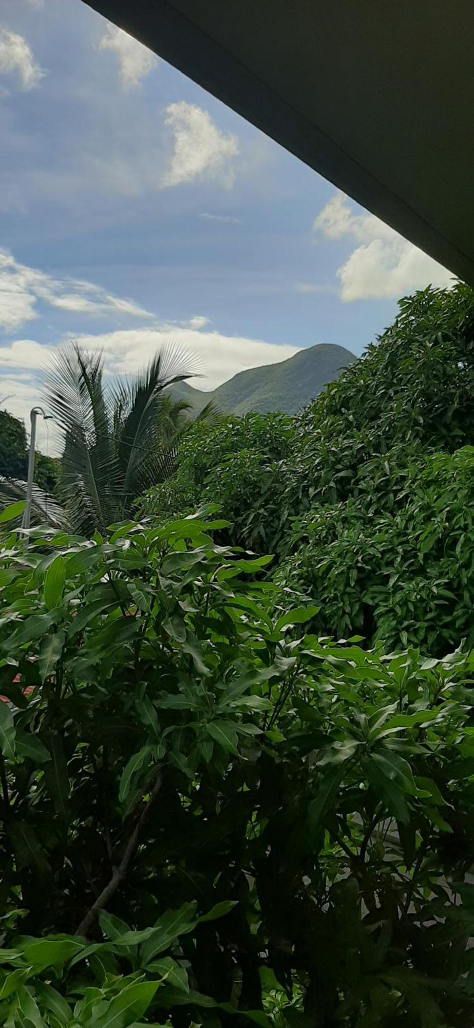 Bungalow Mangifera Proche De La Plage เลอ ดีอามงต์ ภายนอก รูปภาพ